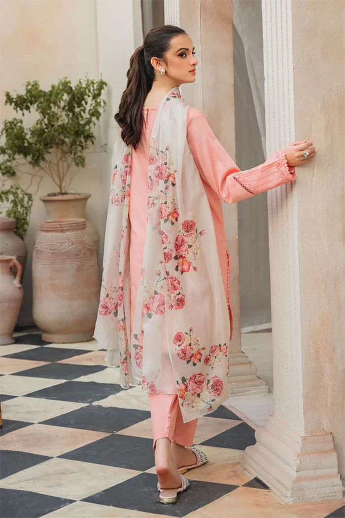 ZIVA PREMIUM DHANAK